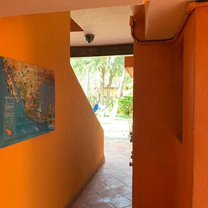 Estudio Básico